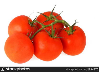 Fresh tomatoes on white background