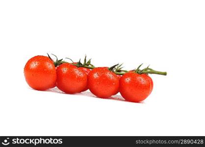 Fresh tomatoes with drops of water