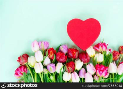 Fresh tulips flowers with red heart gift present box on pale green background. Fresh tulips flowers with heart