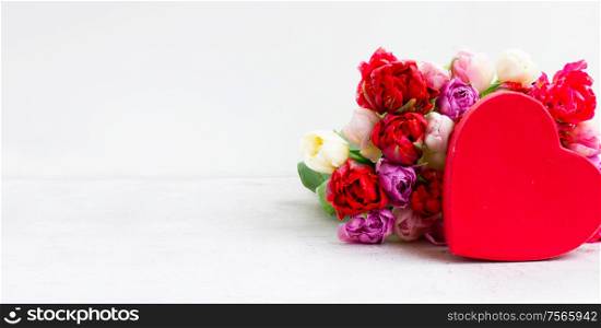 Fresh tulips flowers with red heart gift present box on white background, web banner. Fresh tulips flowers with heart