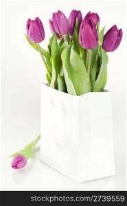 fresh tulips in a shopping bag