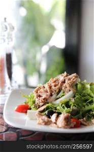 Fresh tuna salad , Italian snack food