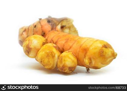 Fresh turmeric root isolated on white background