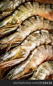 Fresh uncooked shrimp. Macro background. High quality photo. Fresh uncooked shrimp. Macro background.
