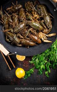 Fresh uncooking crayfish in a pot of lemon and parsley. Against a dark background. High quality photo. Fresh uncooking crayfish in a pot of lemon and parsley.