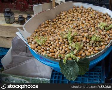 Fresh unshelled hazelnuts seeds of Whole nuts as background