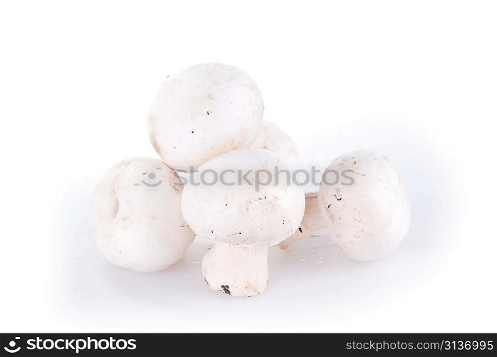 fresh unwashed champignon mushroom close up