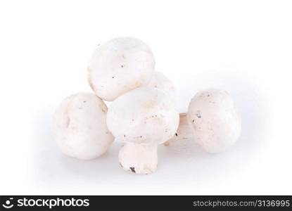 fresh unwashed champignon mushroom close up