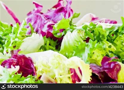 Fresh various salad leaves mixed together