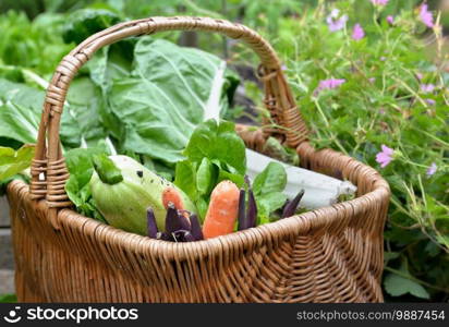 fresh vegetable in a wicker basket  placed in a flowered vegetable garden