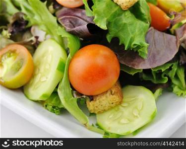 fresh vegetable salad on a white dish, close up