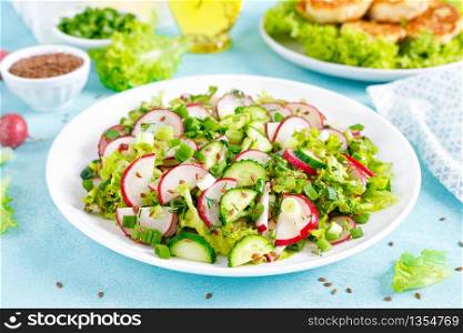 Fresh vegetable salad with radish, cucumbers, lettuce, dill and green onion