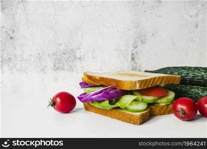 fresh vegetable sandwich white background. High resolution photo. fresh vegetable sandwich white background. High quality photo