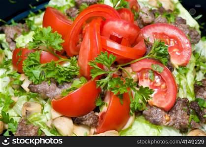 fresh vegetables and roasted meat salad, juicy and tasty . vegetables and meat salad