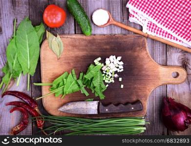 Fresh vegetables for salad, slicing green onions, around tomato, cucumber and lettuce, top view