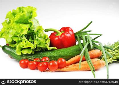 fresh vegetables. Included are tomatoes, carrots, cucumber, onions