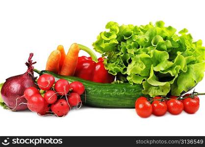 fresh vegetables. Included are tomatoes, carrots,radish, cucumber, onions