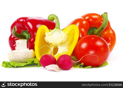 fresh vegetables on the white background