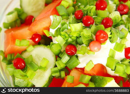 Fresh vegetables on the white background