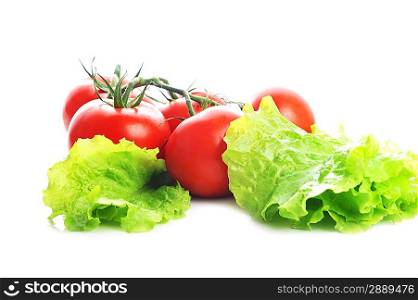 fresh vegetables tomatoes with lettuce on white