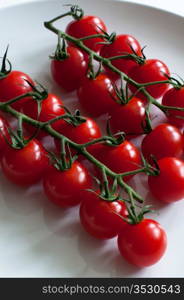 Fresh vine tomatoes / cherry tomatoes on white plate