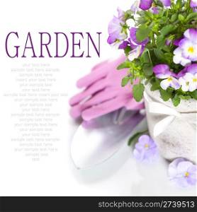 fresh viola flowers in a pot, gardening gloves and shovel over white with sample text