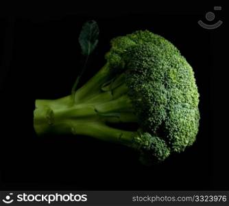 fresh vivid green broccoli on black background
