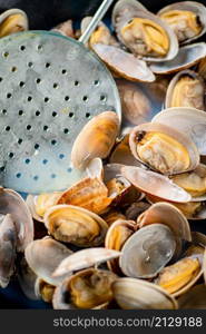 Fresh vongole. Macro background. Texture vongole. High quality photo. Fresh vongole. Macro background. Texture vongole.