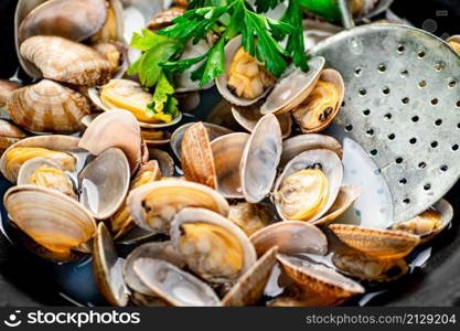 Fresh vongole. Macro background. Texture vongole. High quality photo. Fresh vongole. Macro background. Texture vongole.