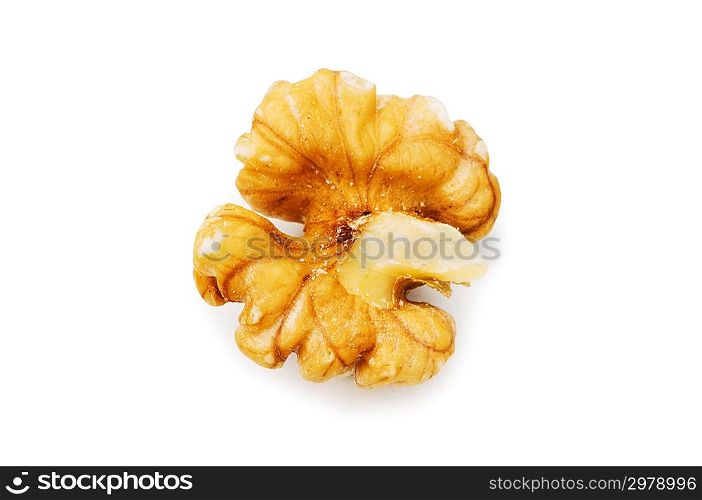 Fresh walnut isolated on the white background