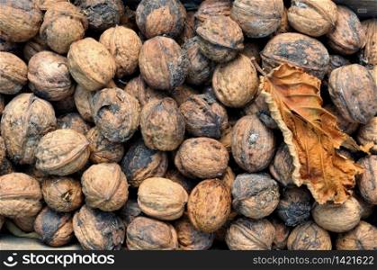 fresh walnuts background with a leaf