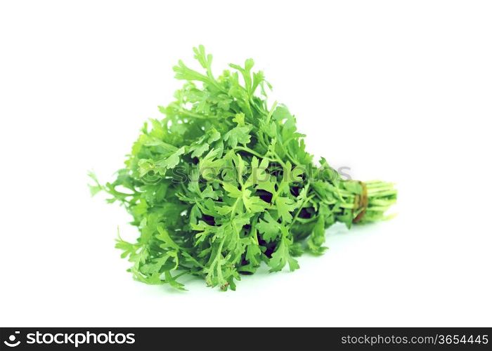 Fresh water cress or garden cress herbs isolated on white background