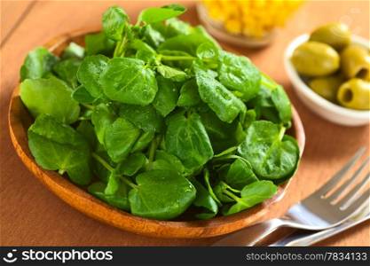 Fresh watercress on wooden plate with green olives and sweetcorn in the back and cutlery on the side (Selective Focus, Focus one third into the watercress). Fresh Watercress