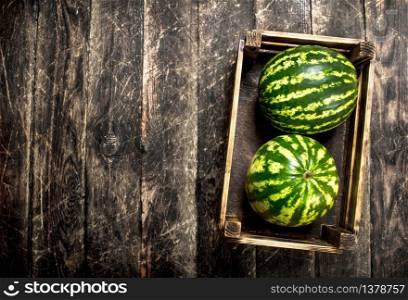 Fresh watermelons in a box. On a wooden background.. Fresh watermelons in a box.
