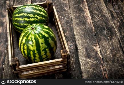 Fresh watermelons in a box. On a wooden background.. Fresh watermelons in a box.