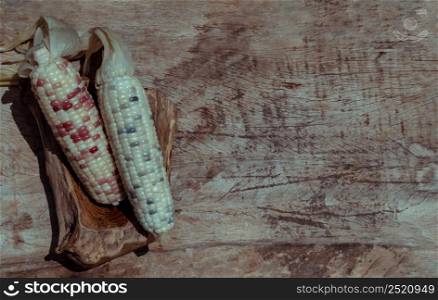 Fresh waxy corn or Sweet glutinous corn on Rustic old wooden background. Tropical whole grain food, Top view, Copy space, Selective focus.