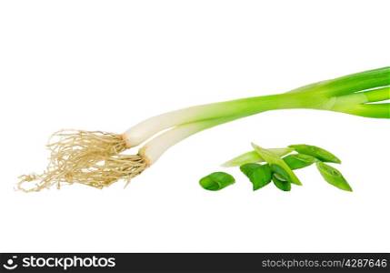 Fresh welsh onions isolated on white background