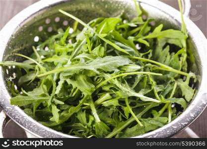 Fresh wet arugula in the colander on the table