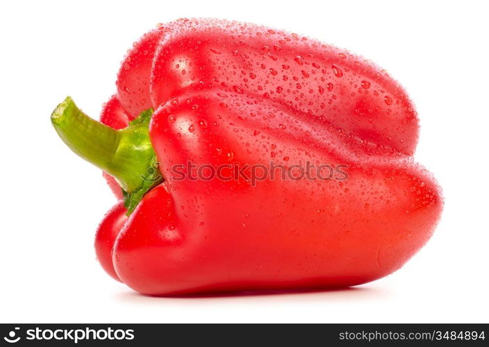 fresh wet red paprika isolated on white