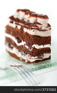 fresh whipped cream dessert cake slice with cocoa powder on top