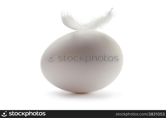 Fresh white egg with a feather on white background