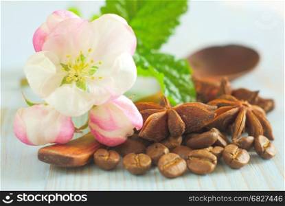 Fresh white spring blossom with spearmint leaves, coffee grains, anise spice star on retro wooden table food background. Retro coffee taste background