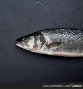 fresh whole sea bass fish on black background, top view, closr up