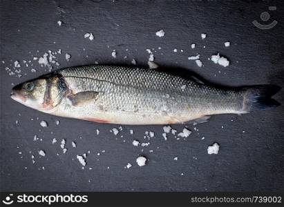 fresh whole sea bass fish with salt on black background, top view