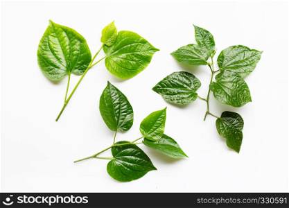 Fresh wild Betal leaves isolated on white background