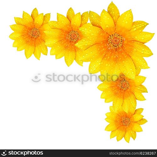 Fresh yellow flower border, isolated over white background