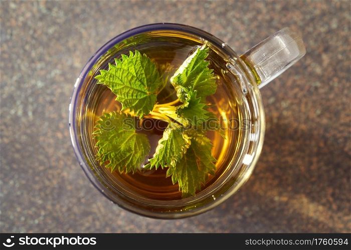 Fresh young nettles in a cup of herbal tea, top view