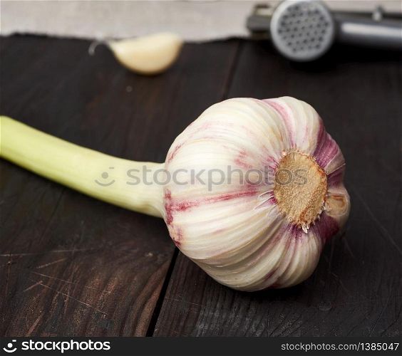 fresh young white garlic and old metal garlic press on a brown wooden table, top view