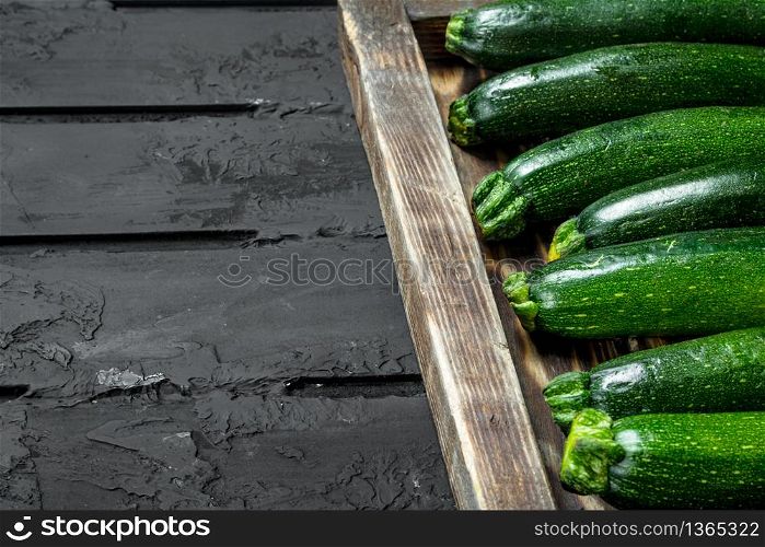 Fresh zucchini on tray. On black rustic background. Fresh zucchini on tray.