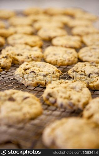 Freshly backed chocolate chip cookies on a cooling rack - shallow depth of field